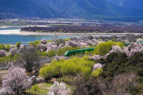 1760926781573.png 202510204dc16e74de0f4cf6b11e52eb1228240a_2025102010c18f3e5bb54b9d8375b92ff6497826.png