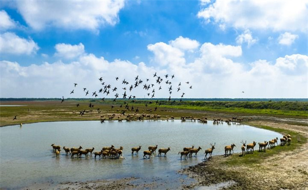 1761093918978.jpg 20251021f9fdce7d96a0467397c5ea937be35f10_2025102137a1c8ae17fc4a4284a2664ba62eee50.jpg