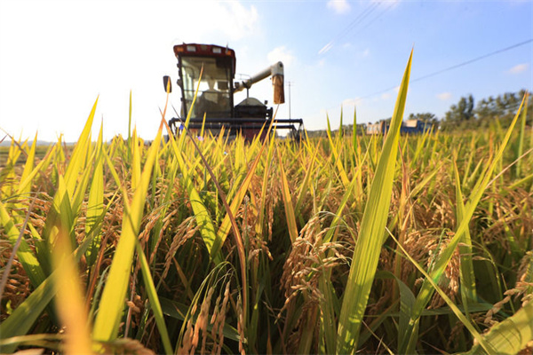 1761094076532.jpg 20251021f9fdce7d96a0467397c5ea937be35f10_20251021e340c093a6164413b672cffbf76e90eb.jpg