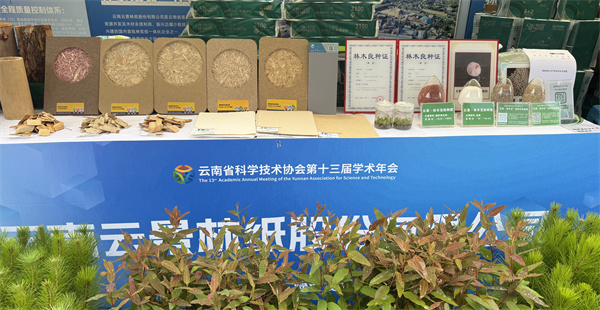 1761102241376.jpg 普洱4.jpg