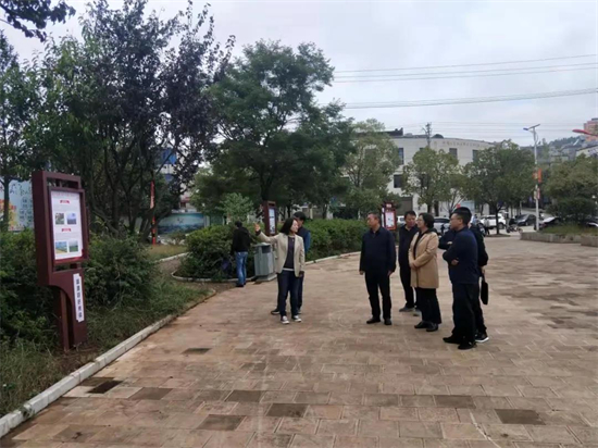 1634291682784022455.jpg 3.5.jpg