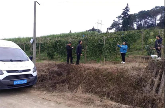 1635242262692035351.jpg 5.2.jpg