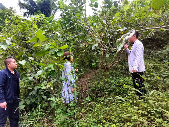 1635298273573045231.jpg 微信图片_20211027093137.jpg