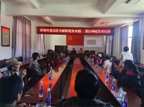 1637027010534072541.jpg 3.1.jpg