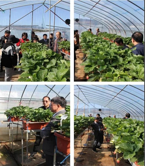 1637633797031005093.jpg 4.2.jpg