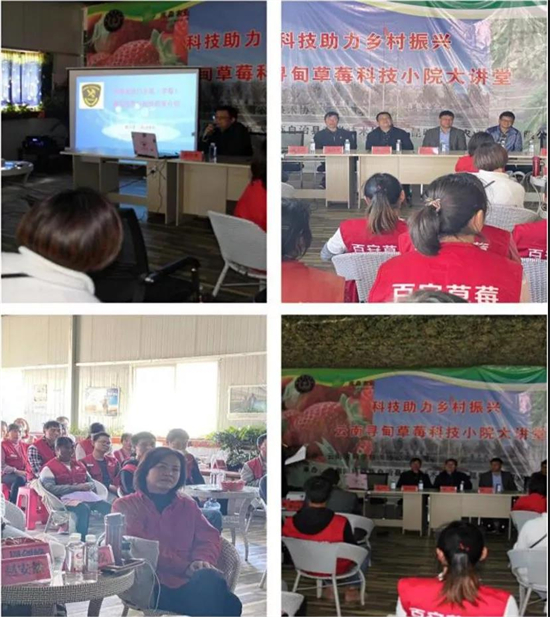 1637633807594040774.jpg 4.3.jpg