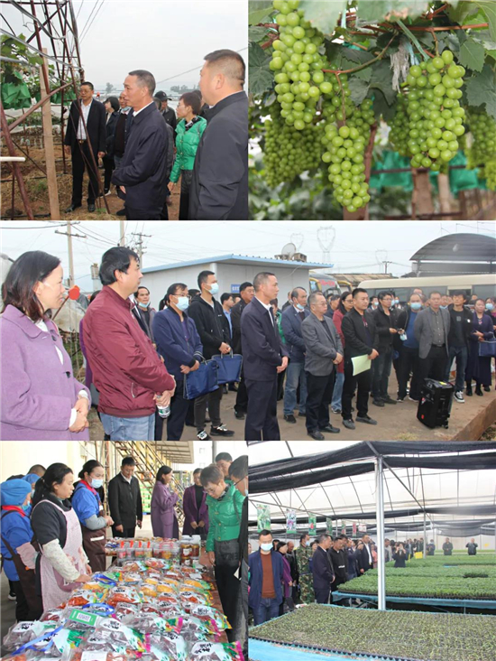 1639149067958048569.jpg 4.3.jpg