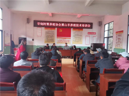 1639150281421005853.jpg 3.2.jpg