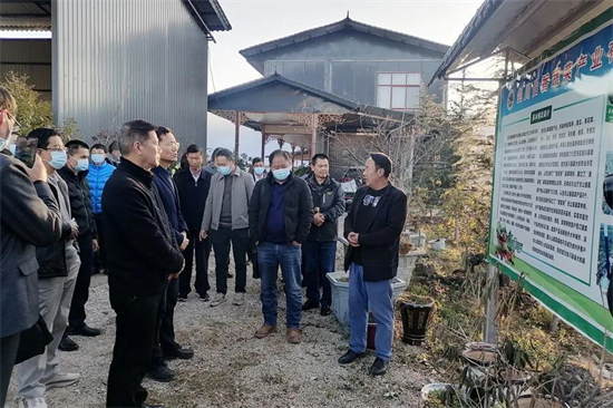 1640313021869038531.jpg 2.1.jpg