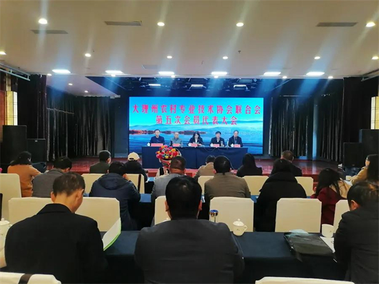 1640313058897023738.jpg 2.5.jpg