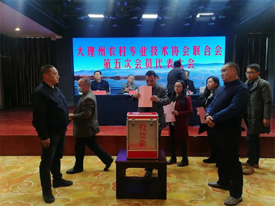 1640313068762066908.jpg 2.6.jpg