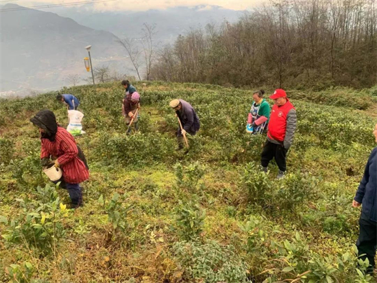 1642471836050052397.jpg 2.1.jpg