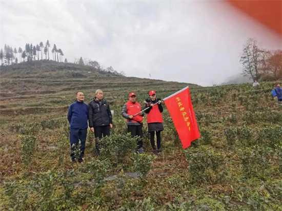 1642471840614093518.jpg 2.2.jpg