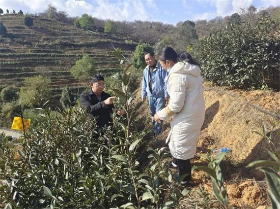 1642472231608036626.jpg 3.1.jpg