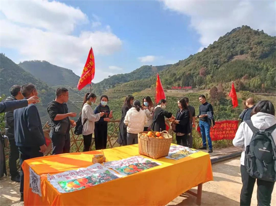 1642728690152057647.jpg 3.3.jpg