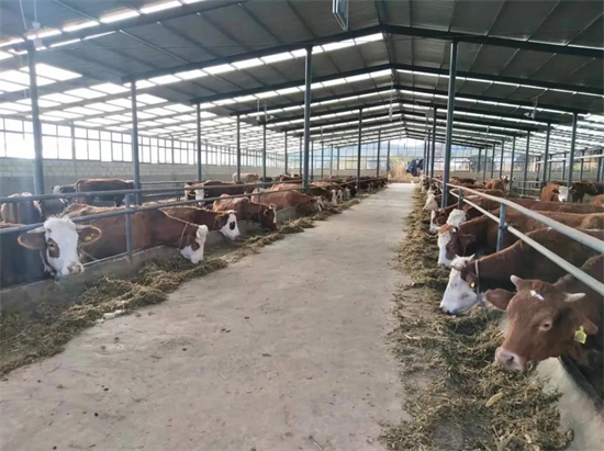 1642757689431044659.jpg 4.8.jpg