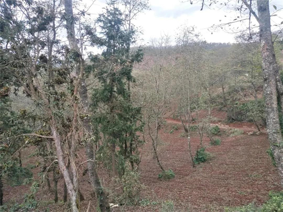 1642757703795030454.jpg 4.10.jpg