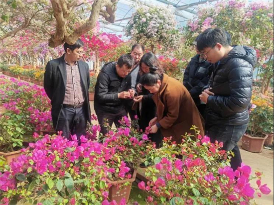 1643421073129013685.jpg 6.2.jpg