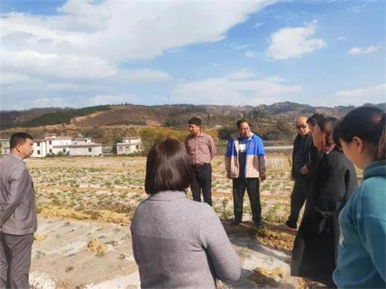 1643421076885022676.jpg 6.3.jpg