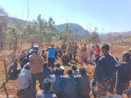 1646387310119094019.jpg 4.3.jpg