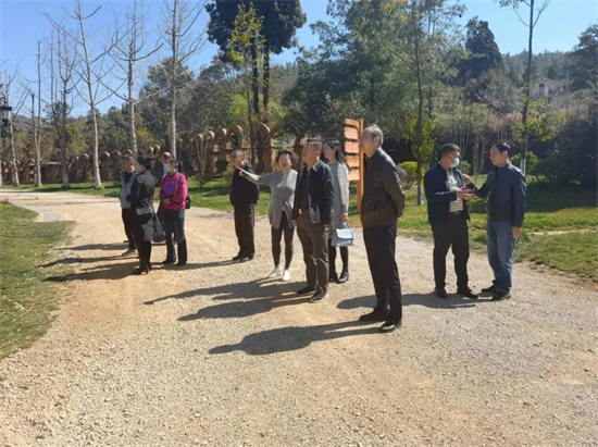 1647309839758082903.jpg 1.1.jpg