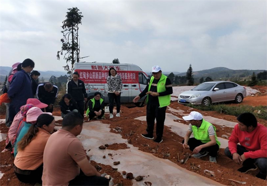 1647396191820005330.png 3.1.png