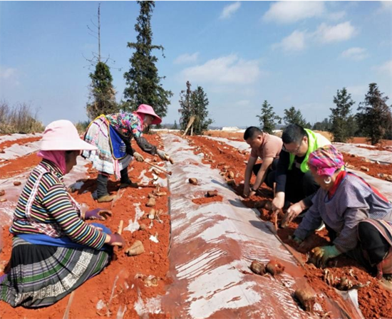 1647396196619064670.png 3.2.png