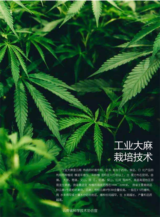 1_副本.jpg