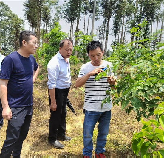 1651807030916010659.jpg 丽江3_副本.jpg