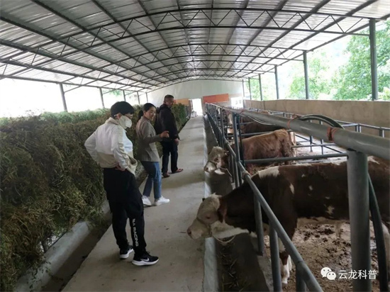 1653377222048055402.jpg 640 (16).jpg