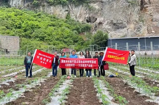 1653918495364058407.jpg 640 (4).jpg