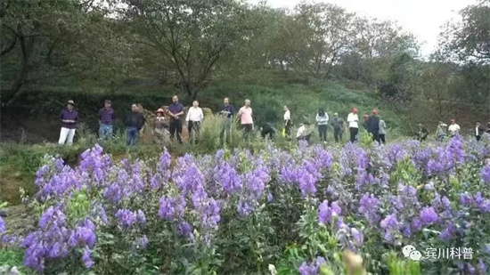 1654571864478024242.jpg 640 (10).jpg