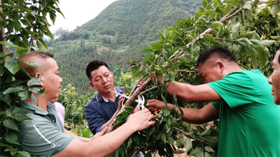 1654572249273077220.jpg 640 (6).jpg