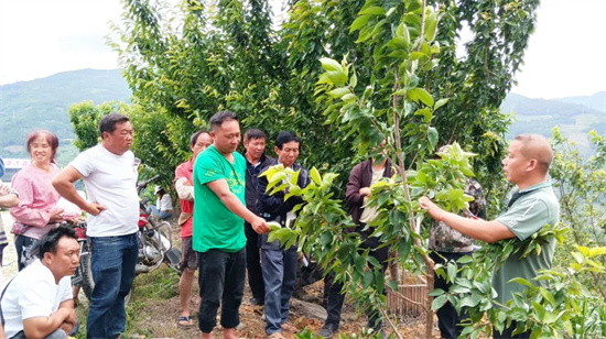 1654572258712051086.jpg 640 (7).jpg