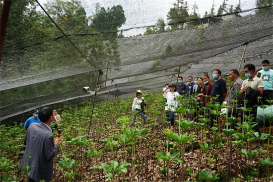 1654742995556051885.jpg 640 (4).jpg