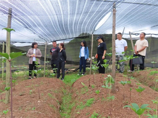 1655188398986057245.jpg 640 (25).jpg