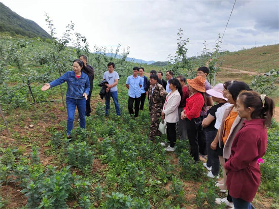 1655883296831087413.jpg 640 (15).jpg