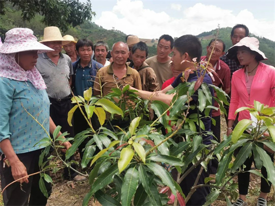 1655902000065056040.jpg 640 (4).jpg