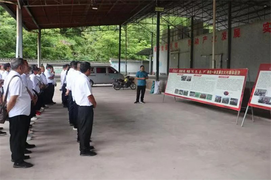 1656656981347014106.jpg 640 (14).jpg