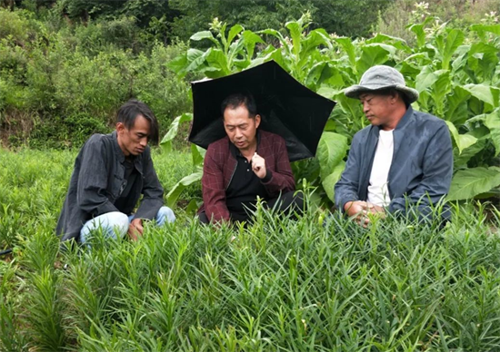 1657248671785020262.png 640 (1).png