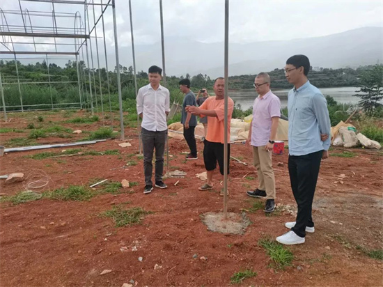 1659677776969091233.jpg 640 (7).jpg