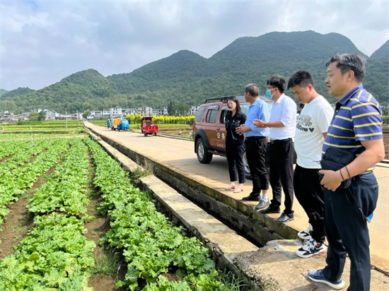 1662602211407049198.jpg 640 (10).jpg