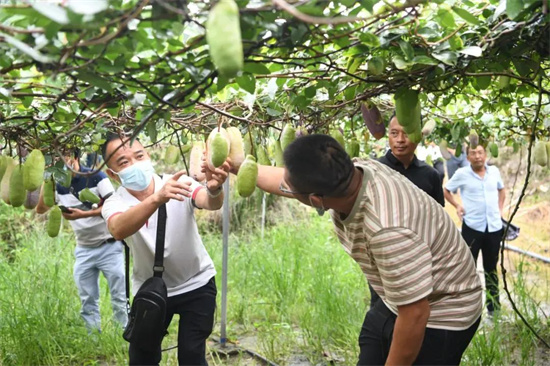 1664200766414056350.jpg 640 (6).jpg