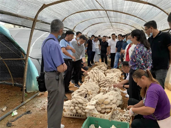 1664200780312028072.jpg 640 (7).jpg