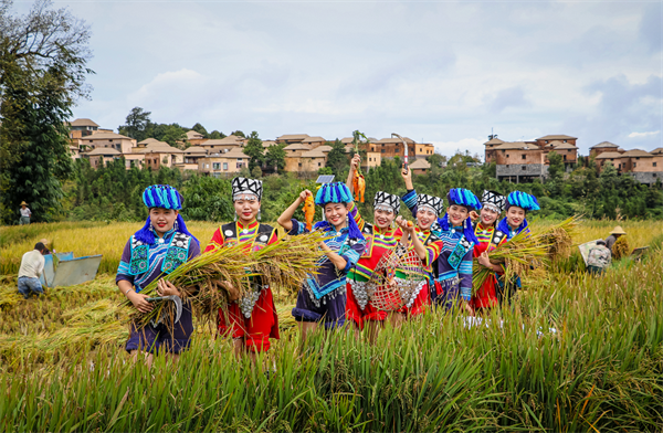 1664595510133009331.png 民族2.png