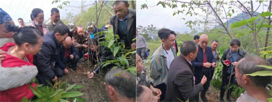 1667977554535065060.png 640.png