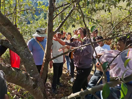 1669636629809069930.jpg 640 (4).jpg