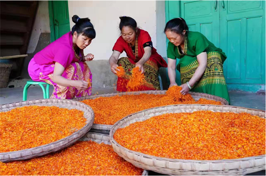 1670378705375001529.png 640 (14).png