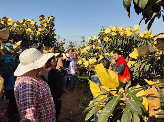 1676543378214052461.jpg 640 (15).jpg