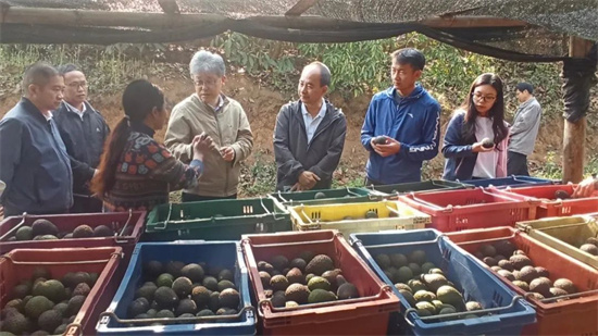 1678074399762006989.jpg 640 (2).jpg